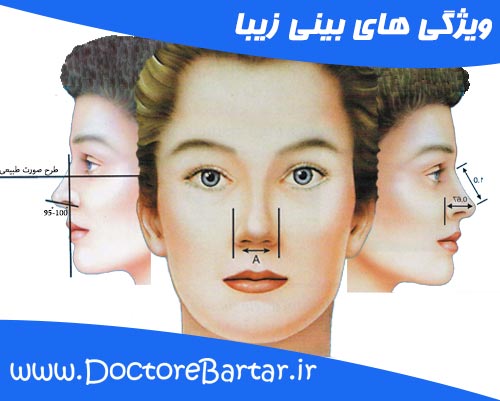 ویژگی بینی زیبا